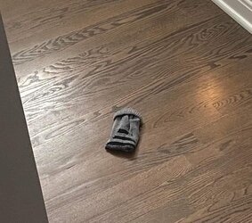 313424218_512003577638001_7382522389460534711_n.jpg