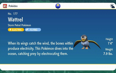 gen 9 wattrel.png