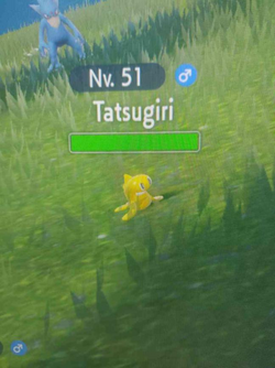 gen 9 sushi 1.png