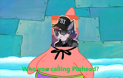 Pin4.png