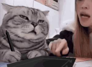 656CF214-1C60-4D4B-A33D-FC8473F44222.gif