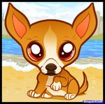 how-to-draw-a-chihuahua-puppy-chihuahua-puppy_1_000000009230_5.jpg