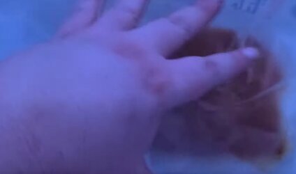 no ring.jpg