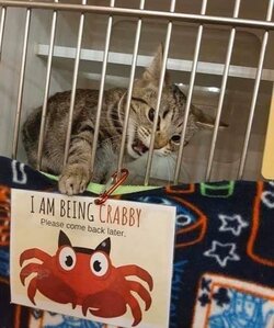 Crabby.jpg
