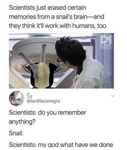 1668148969523.png