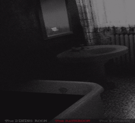Bathroom head in bath.gif