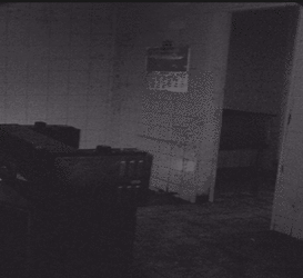 Kitchen Girl looks in.gif