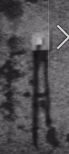 Screenshot_38.png