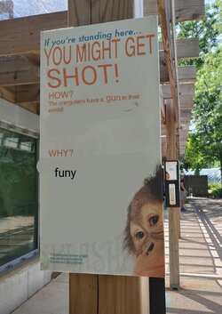 1659811643036700.jpg