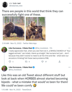 bears.png
