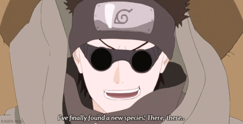 tumblr_d2713c85dd4ac8626dd7d13a475cfd3f_cd053fad_540.gif