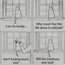 Lonely Cat.png