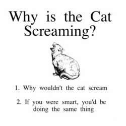 1668463873110.png