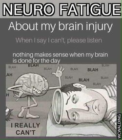 FB_IMG_1668464827894.jpg