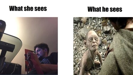 meme.jpg
