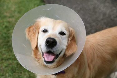 cone.jpeg