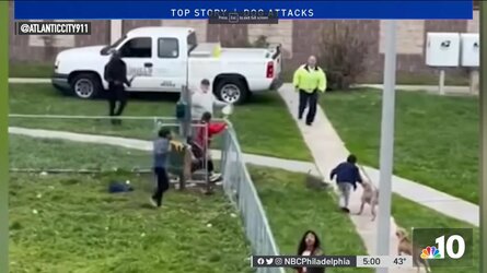 bully.jpg