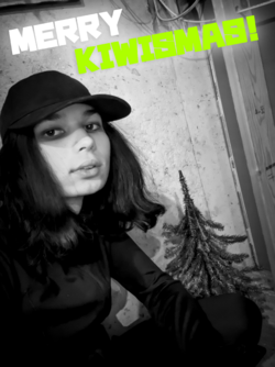 bemejustarandomerrykiwismas.png