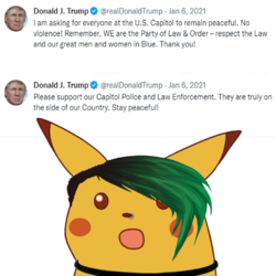 45435345.png