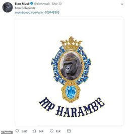 1668956579857.png 1668956579857.png