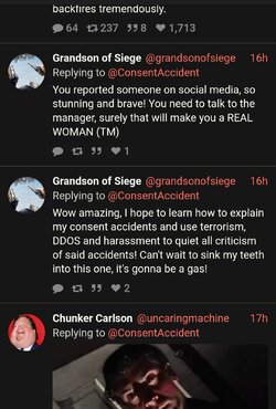 DongerConsent4.jpg