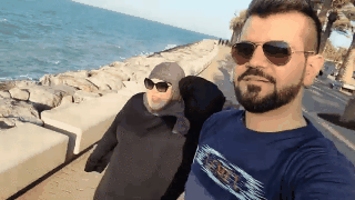 What Chinny Actually Looks Like.gif