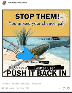 Screenshot_20221120-144646~2.png