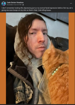 03.png
