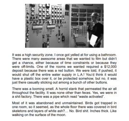 avgn book 1.png