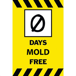 MoldFree.png