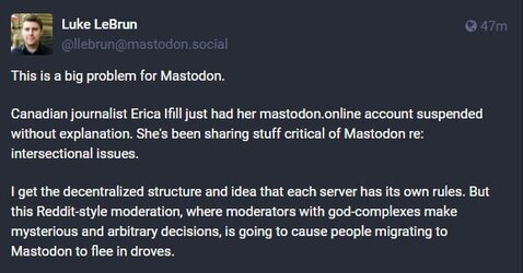 erica ifill twitter musk.jpg
