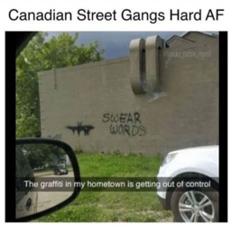 ef97bda96162965f8007f5f267862077.png