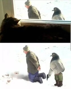 blursed-images-1.jpg