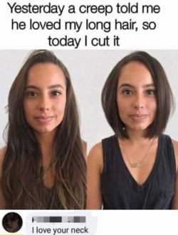 1669193524630.png