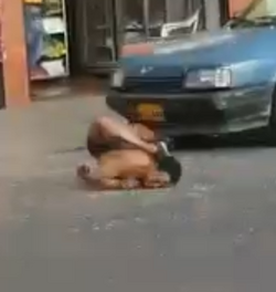 full scorpion.png