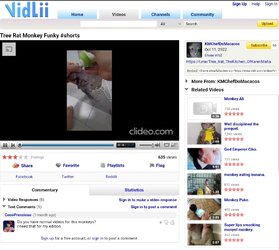 vidlii-KM-ads.jpg