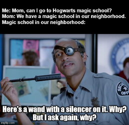 Ghetto Hogwarts but i ask again why.jpg
