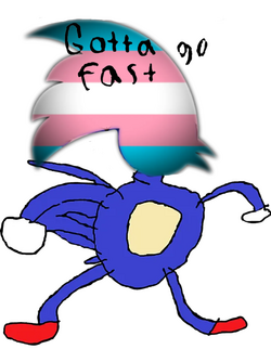 gotta-go-fast-sonic-rubick-runner-transparent.png