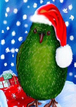 Kiwi Christmas.jpg