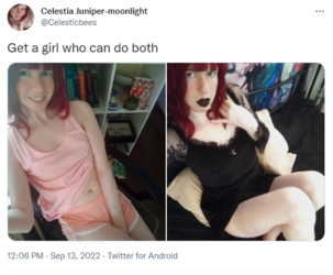 1669272464233.png