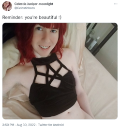 1669272561708.png