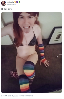 1669272908070.png