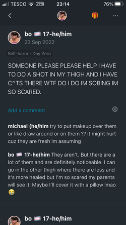IMG_0195.PNG
