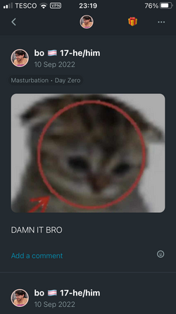 IMG_0210.PNG