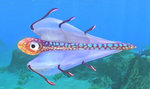 PSX_20180228_090403.jpg