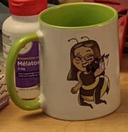 1669362629810.png