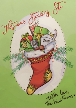 Kiwi stocking.png
