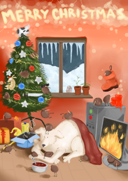 Kiwimas.png