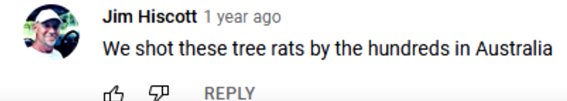 1669421690086.png