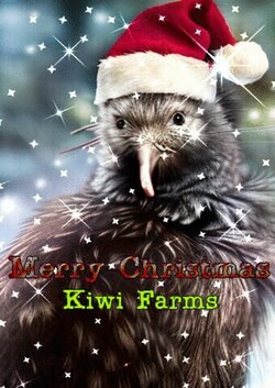christmaskiwi.jpg